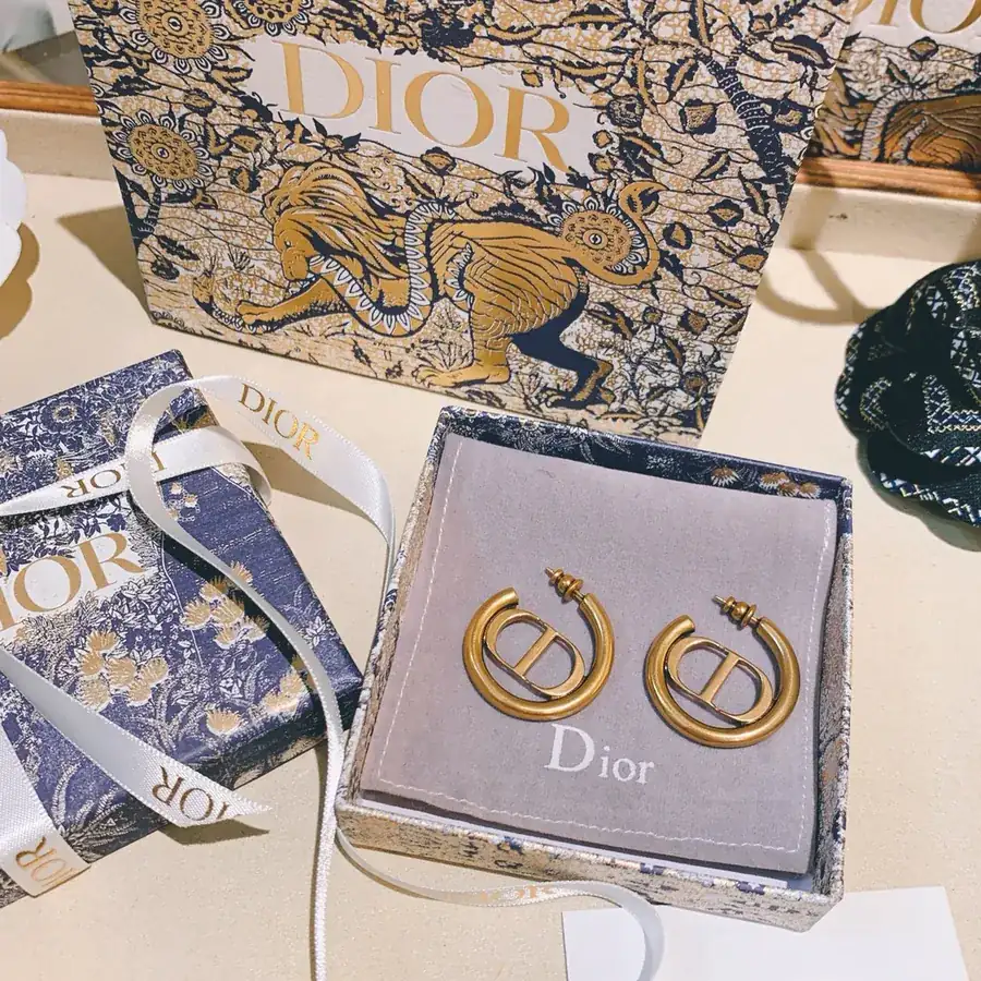 D*or CD Letter Gold Earring Retro Fashion