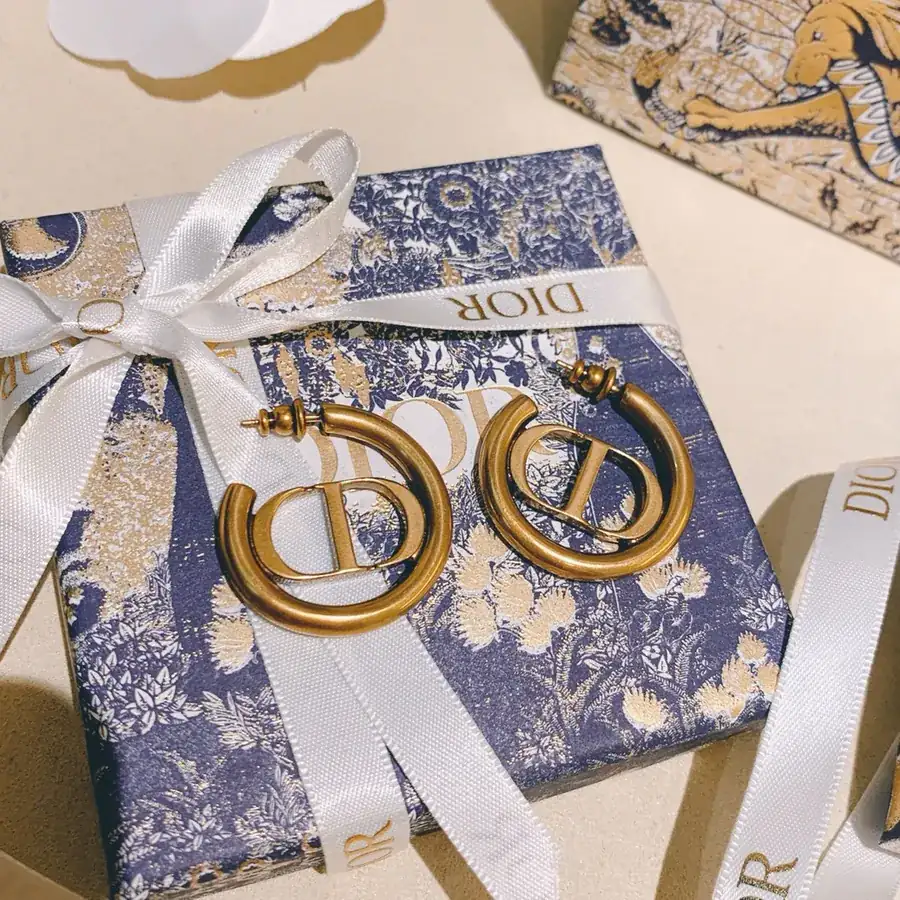 D*or CD Letter Gold Earring Retro Fashion