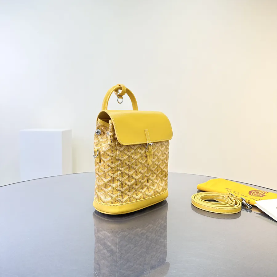 New Upgrade (AIN) Mini Crossbody Bag