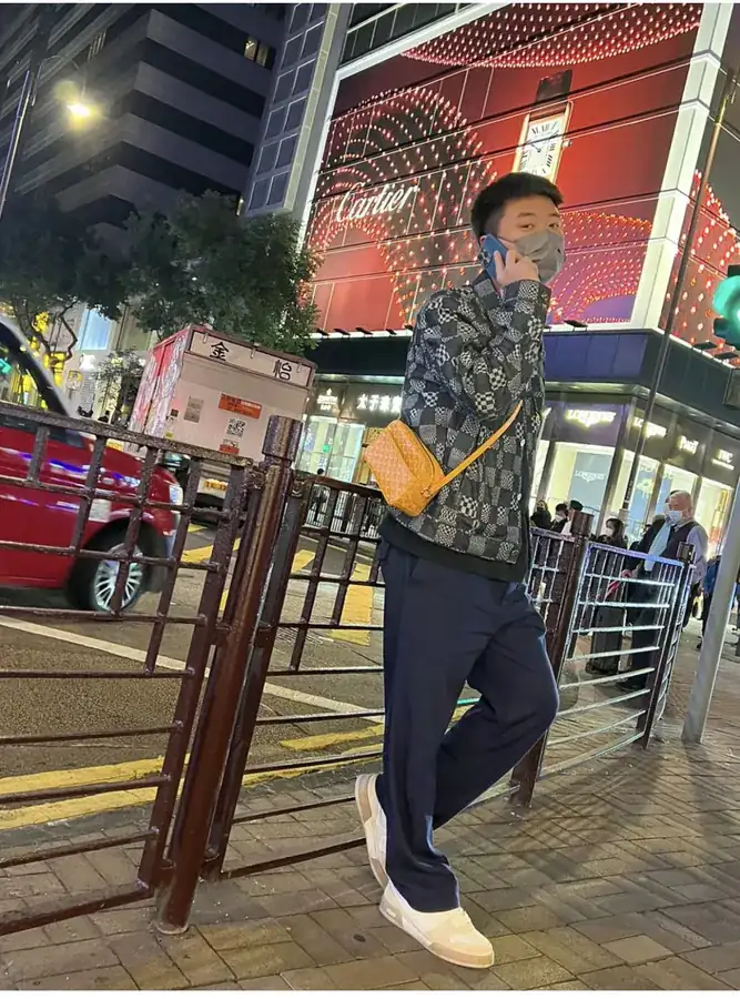 Goyard Cap Vert Camera Bag