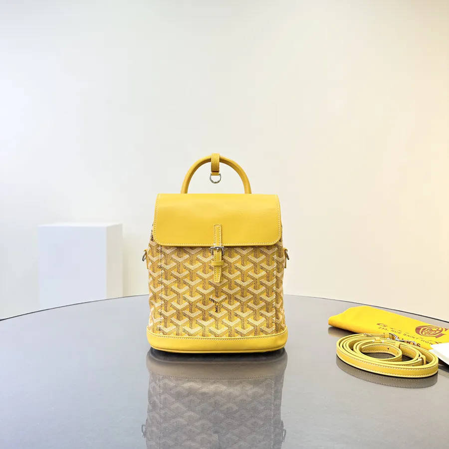 Goyard Mini Backpack