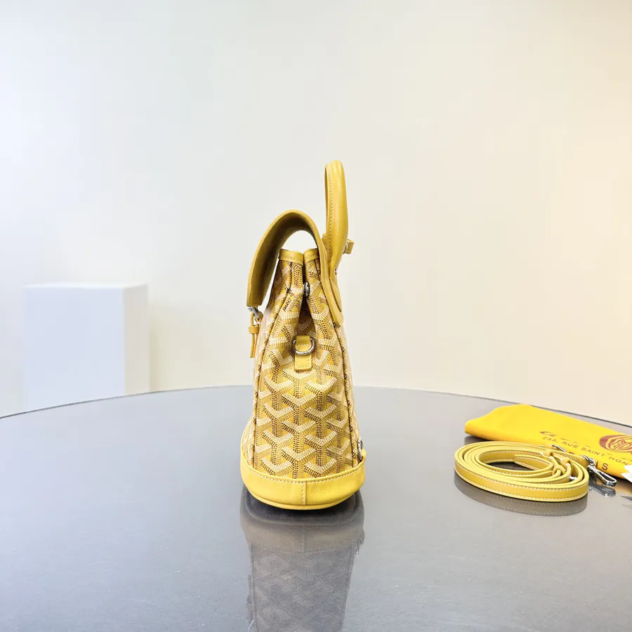 Goyard Mini Backpack