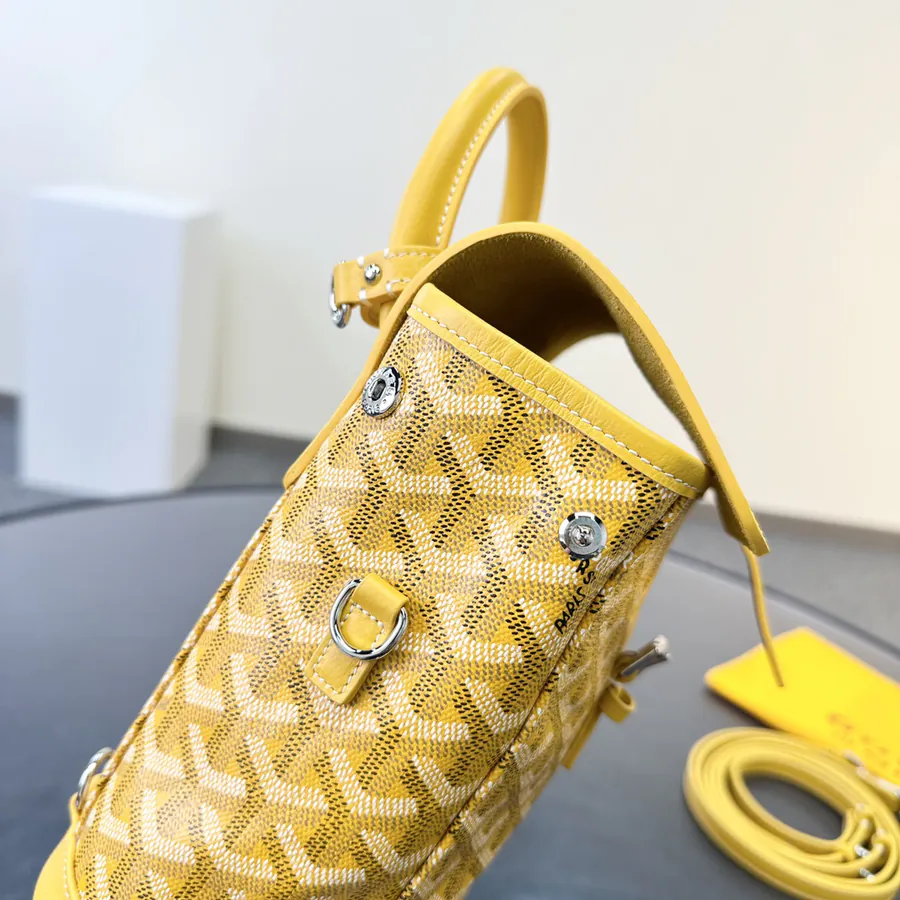 Goyard Mini Backpack