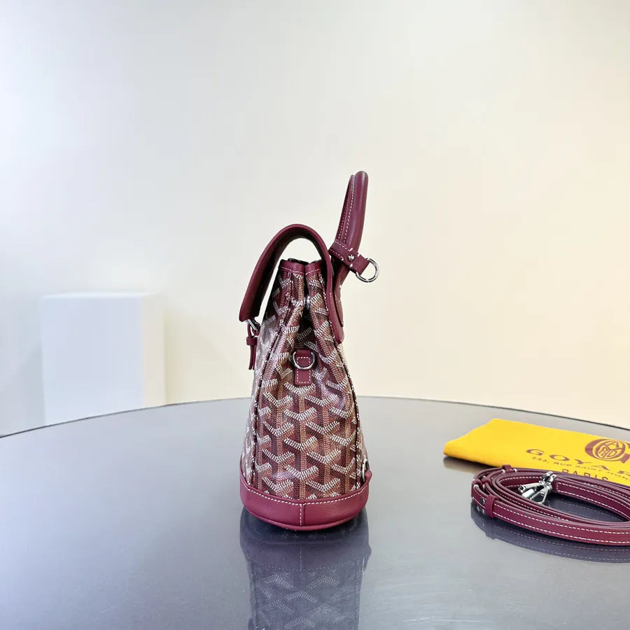Goyard Mini Backpack