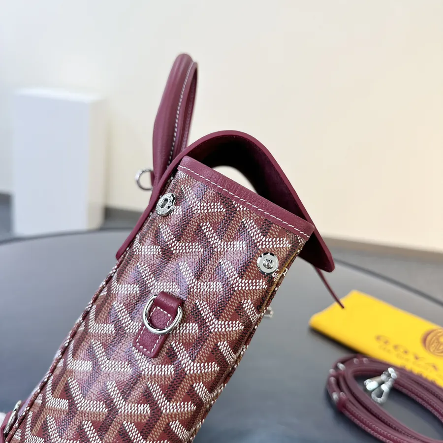 Goyard Mini Backpack