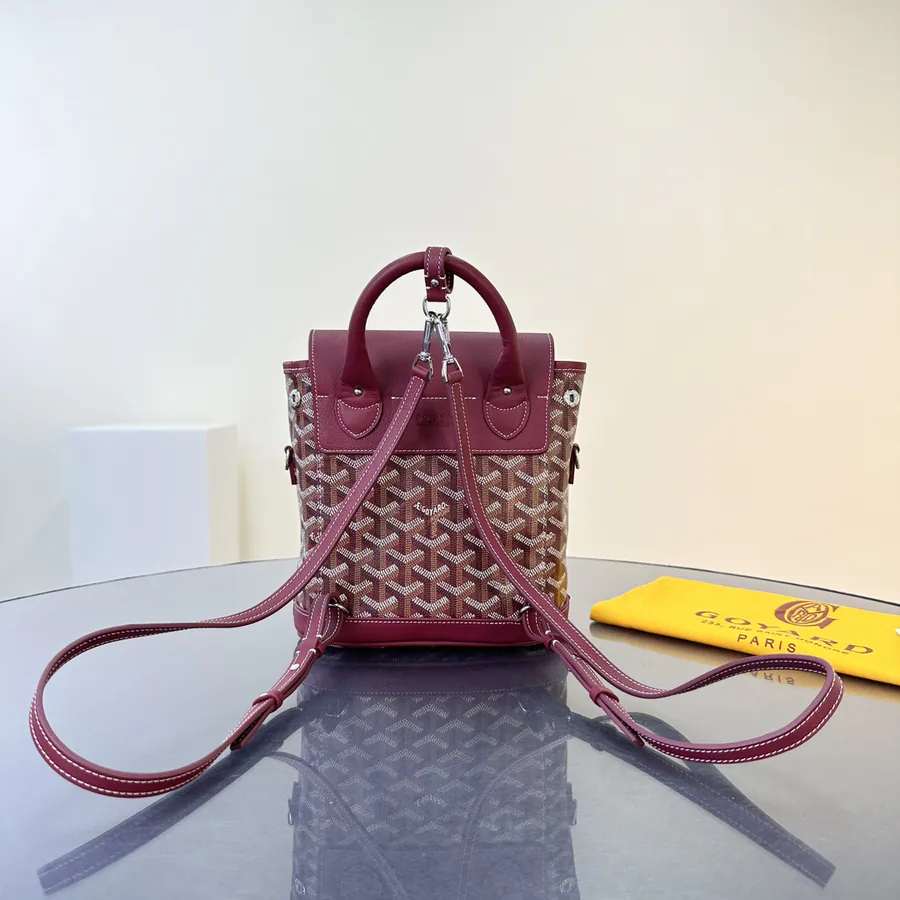 Goyard Mini Backpack
