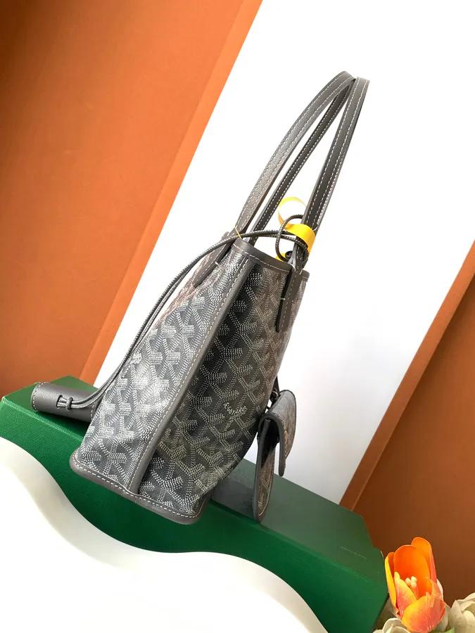 Goyard Mini Anjor with Soft Leather