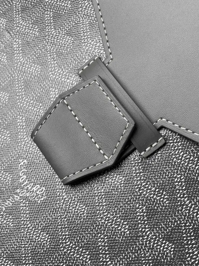 Camon Handbag