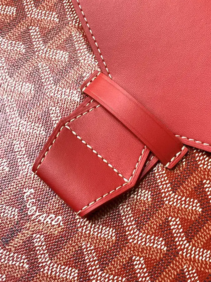 Camon Handbag