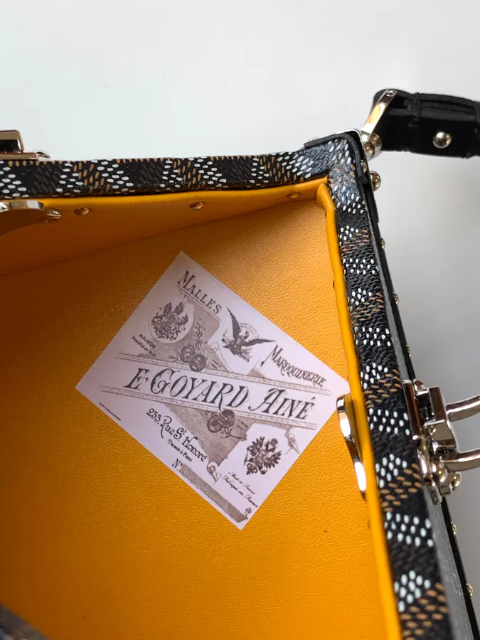 DE Cube Bag with Y Shaped Grain and Goyardine Canvas