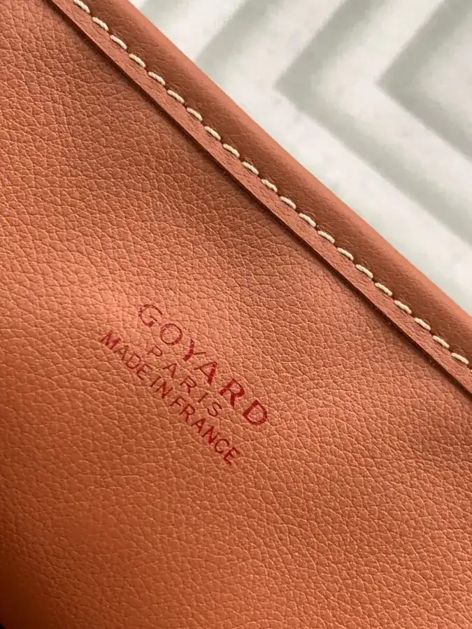 Goyard Mini Tote Anjou Mini Bag