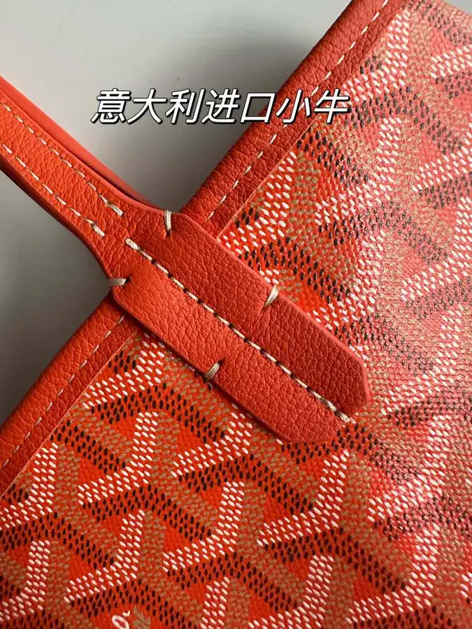Goyard Mini Tote Bag