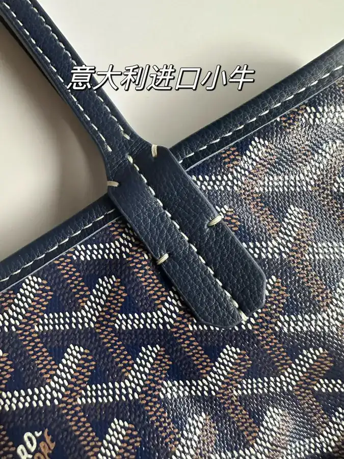 Goyard Mini Tote Bag