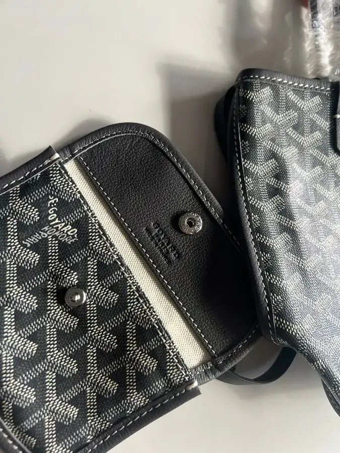 Goyard Mini Tote Bag