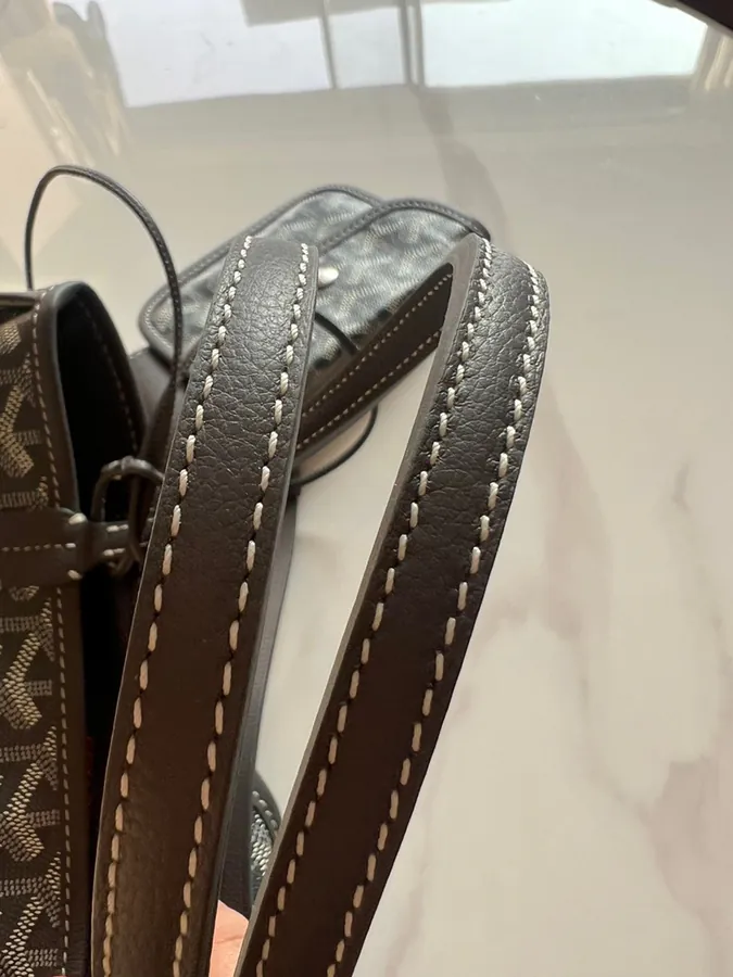 Goyard Mini Tote Bag