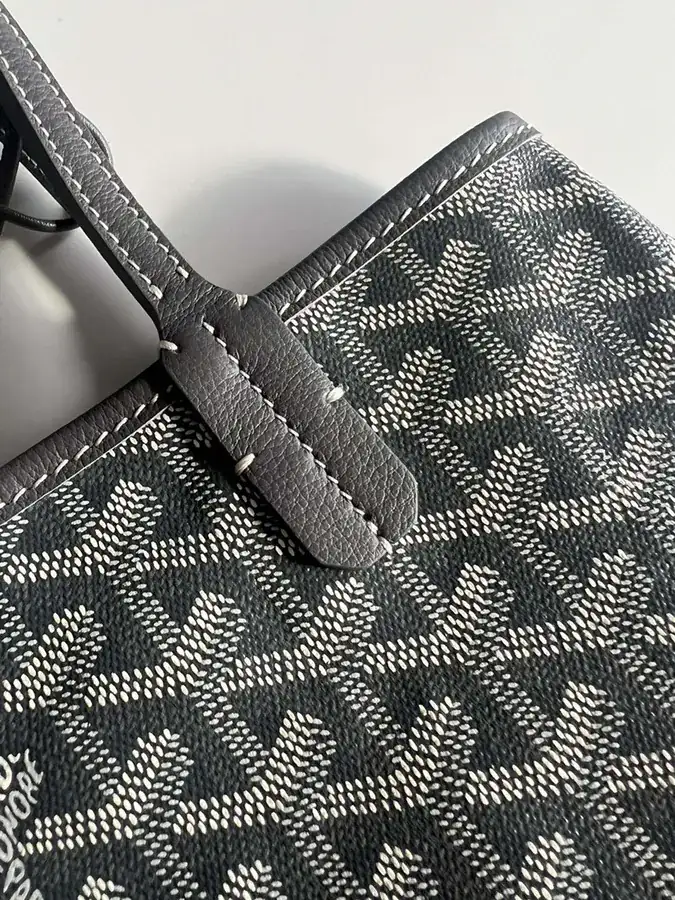 Goyard Mini Tote Bag
