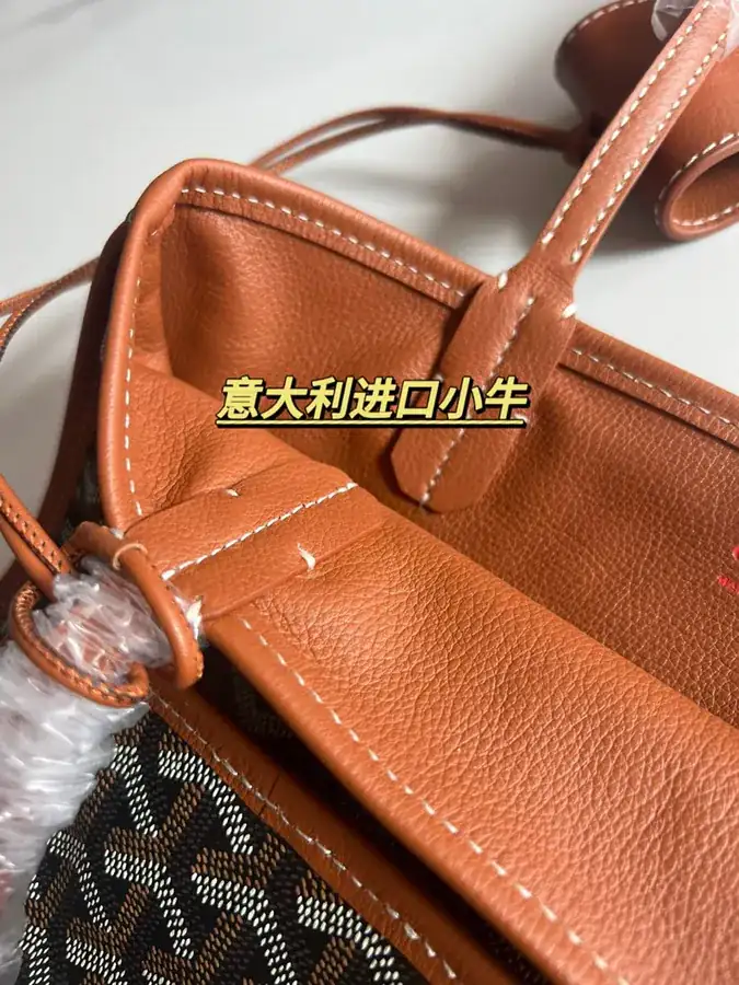 Goyard Mini Tote Bag