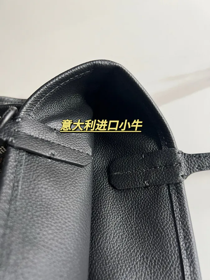Goyard Mini Tote Bag