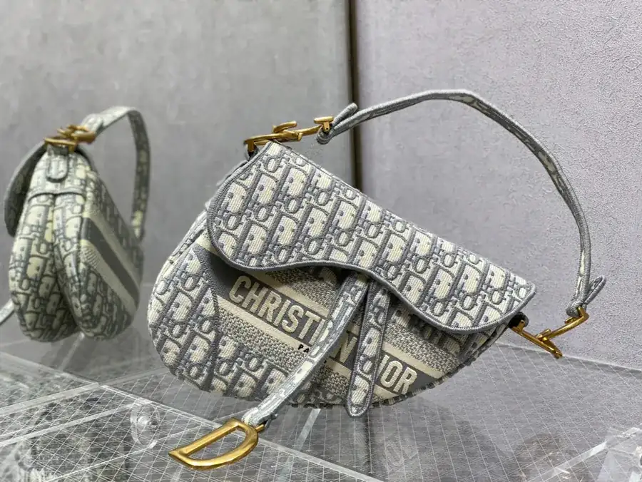 P650 Dream Gray Saddle Bag