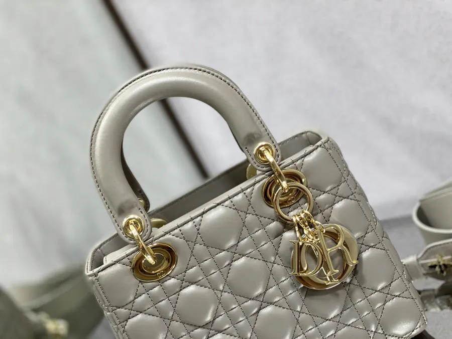 P700 Lady 4 Compartment Light Gray Gold Clasp Bag