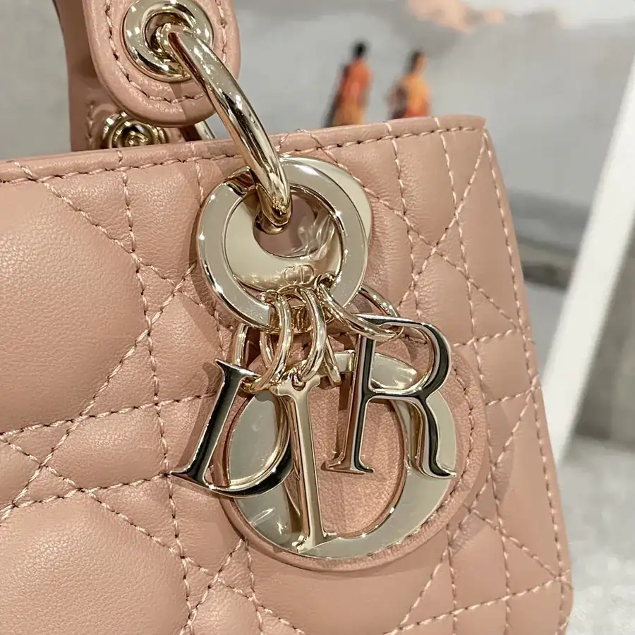P600 D Joy 16cm Goat Leather Tote