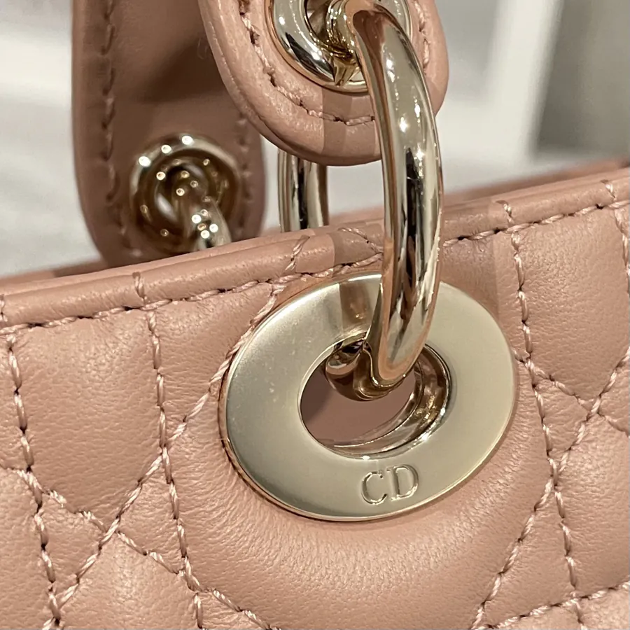 P600 D Joy 16cm Goat Leather Tote