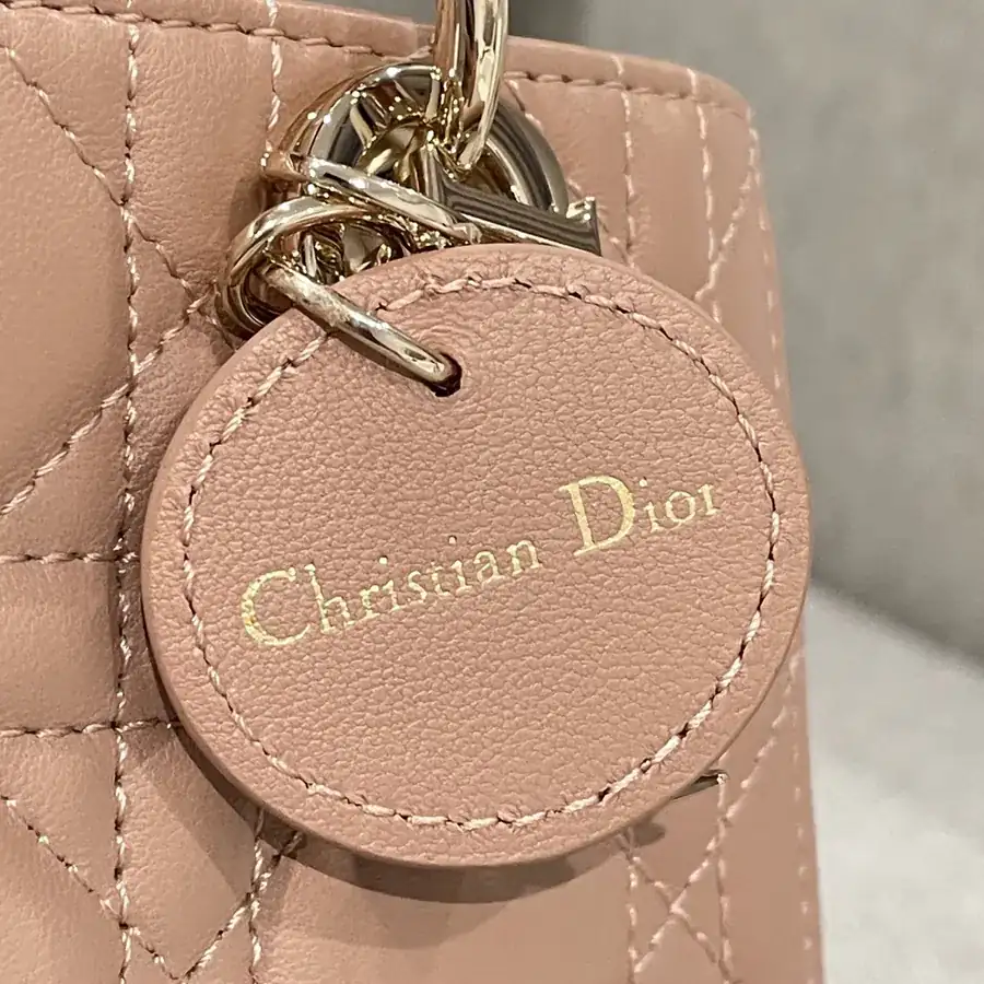 P600 D Joy 16cm Goat Leather Tote