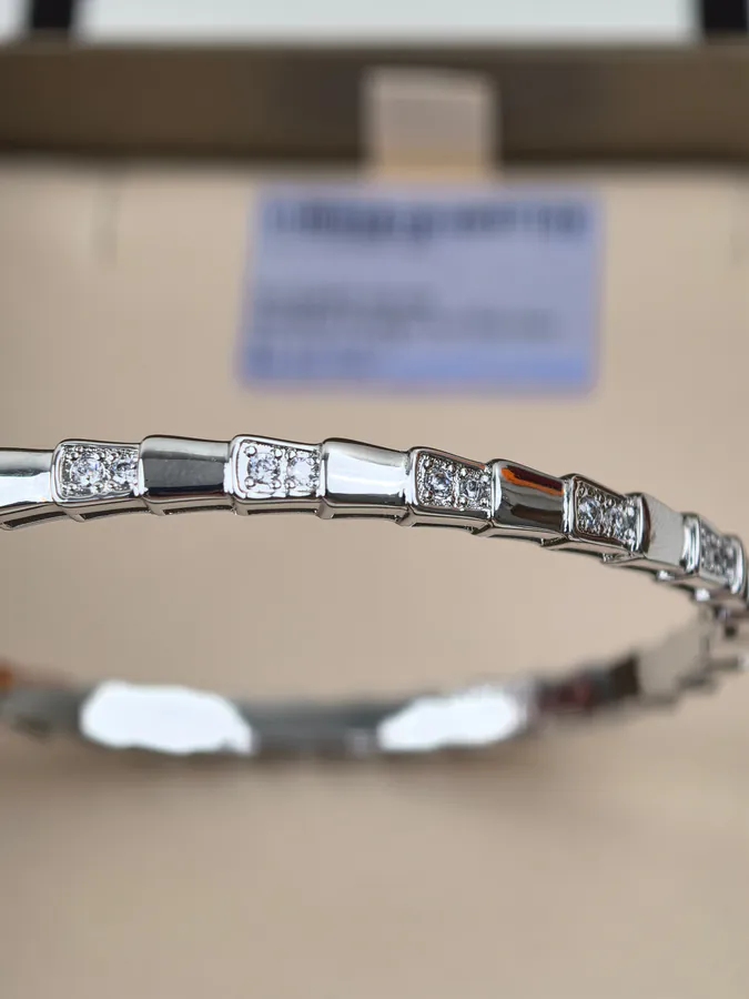 Bvlgari Single Circle High Shine Interval Diamond Snake Chain Bracelet