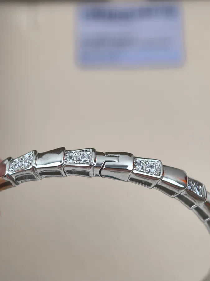 Bvlgari Single Circle High Shine Interval Diamond Snake Chain Bracelet