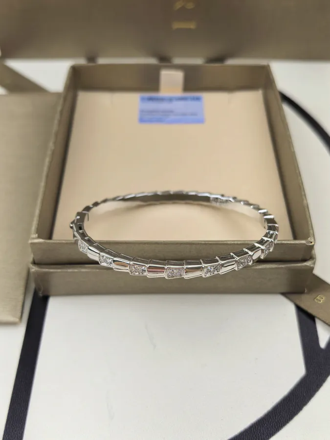 Bulgari Single Circle High Gloss Holes Snake Chain Bracelet