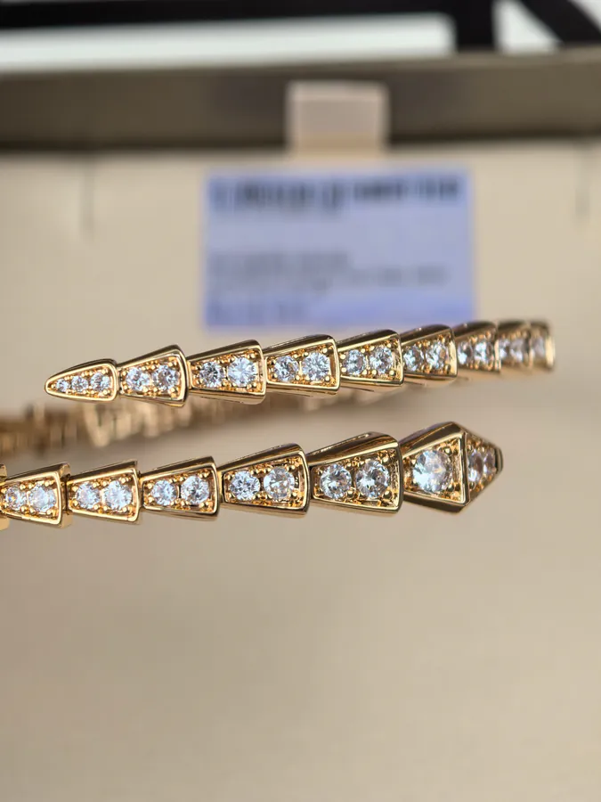 Bulgari Double Serpent Ring Spring Bracelet