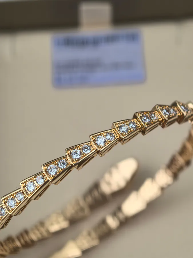 Bulgari Double Serpent Ring Spring Bracelet