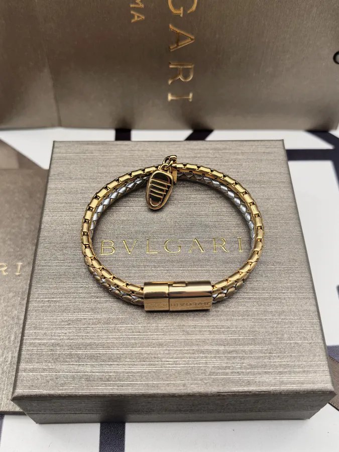 Bulgari Double Snake Bracelet in Silver Gold