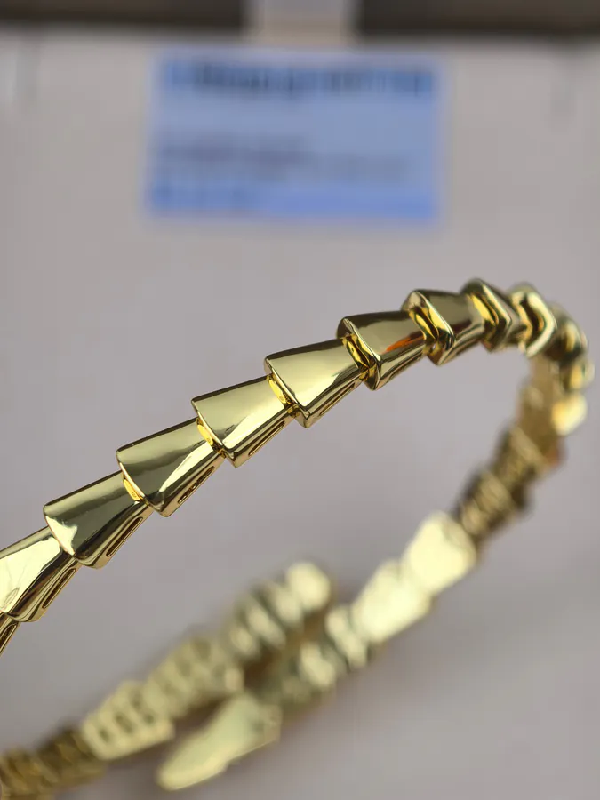 Bulgari Double Serpent Spring Bangle
