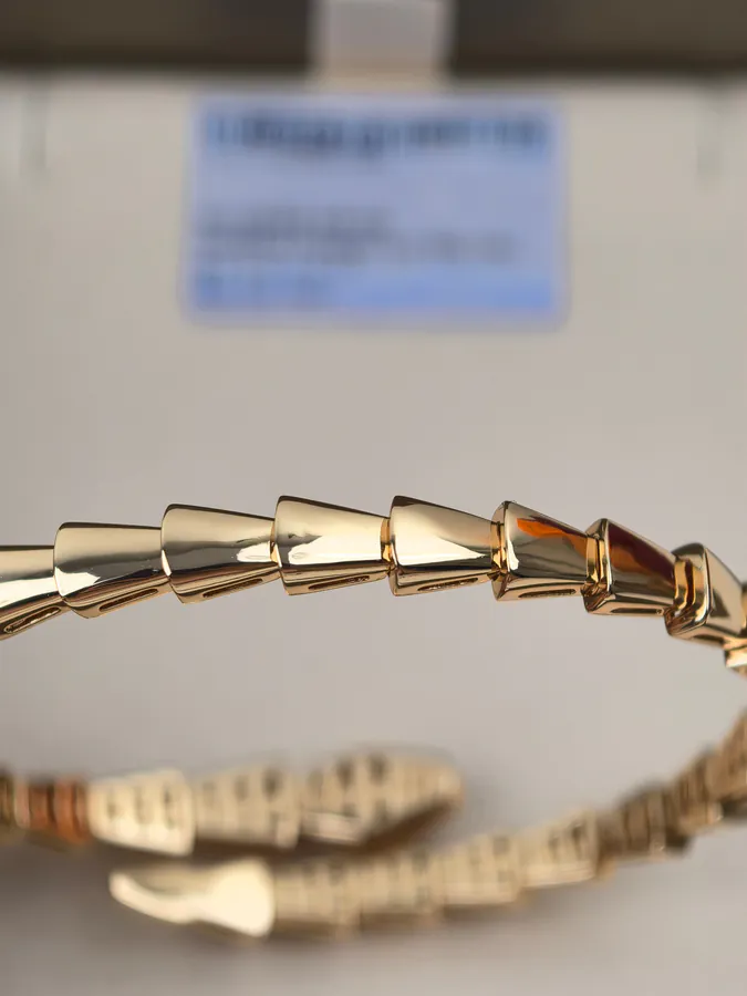 Bulgari Double Serpent Semi Diamond Spring Bracelet