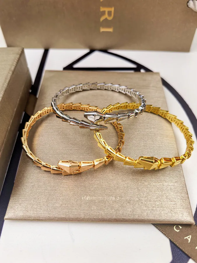 Bulgari Double Snake Spring Bracelet