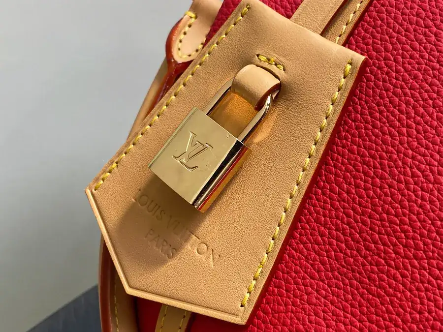 Pharrell Williams Speedy Bandoulière 25 Bucket Bag