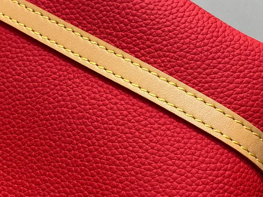 Pharrell Williams Speedy Bandoulière 25 Bucket Bag