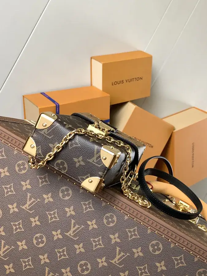 Camera Box Handbag with Monogram and Monogram Reverse Canvas