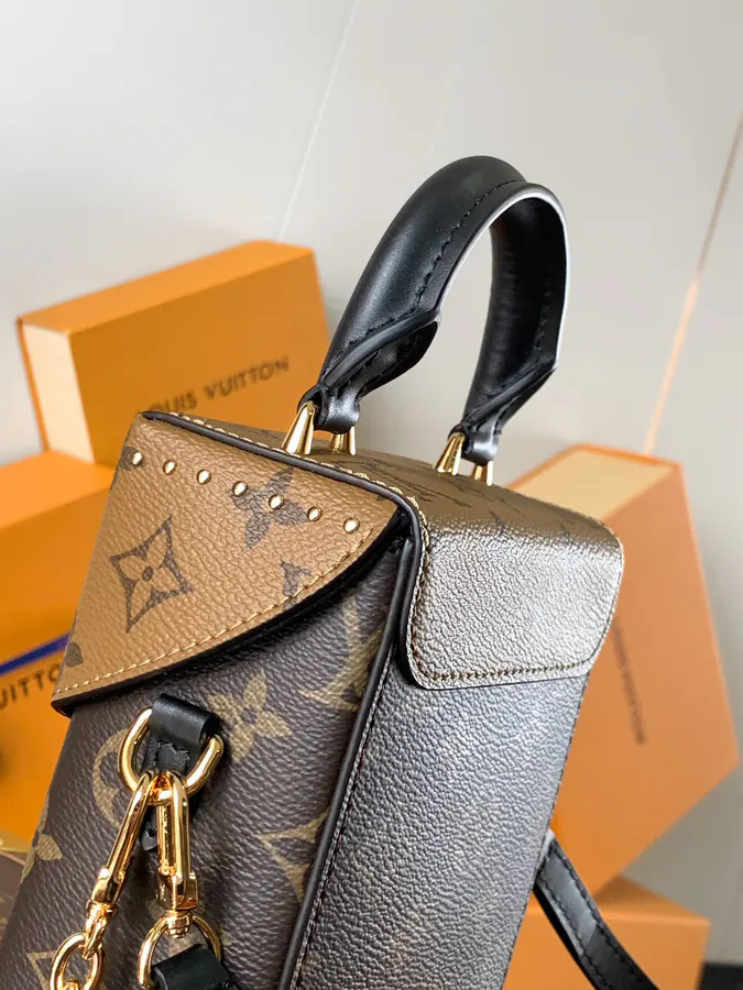 Camera Box Handbag with Monogram and Monogram Reverse Canvas