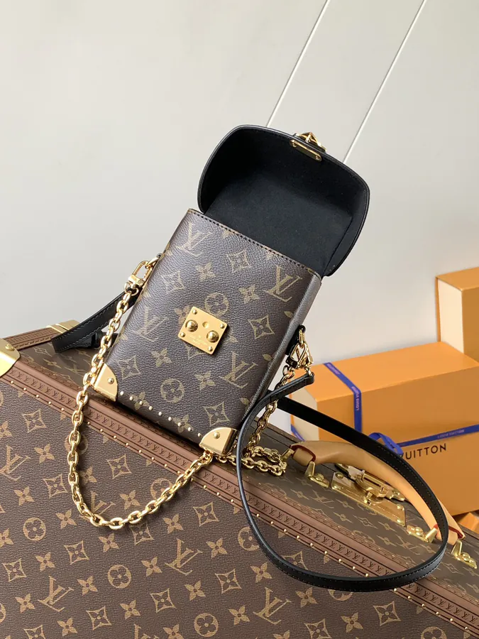 Camera Box Handbag with Monogram and Monogram Reverse Canvas