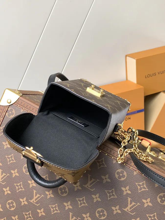 Camera Box Handbag with Monogram and Monogram Reverse Canvas