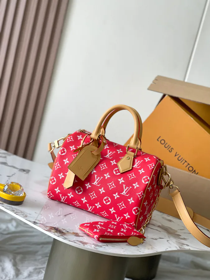 Pharrell Williams Bandouliere 25 Handbag from 2024 Autumn Winter Collection