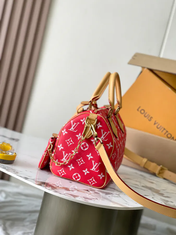 Pharrell Williams Bandouliere 25 Handbag from 2024 Autumn Winter Collection