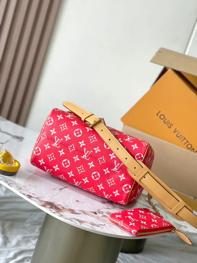 Pharrell Williams Bandouliere 25 Handbag from 2024 Autumn Winter Collection