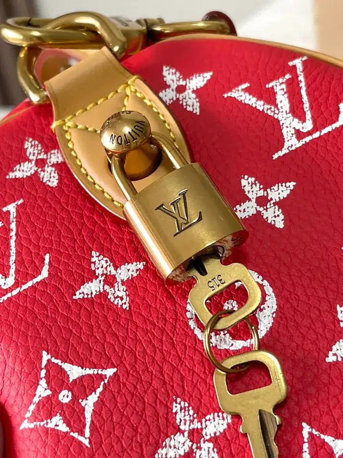 Pharrell Williams Bandouliere 25 Handbag from 2024 Autumn Winter Collection