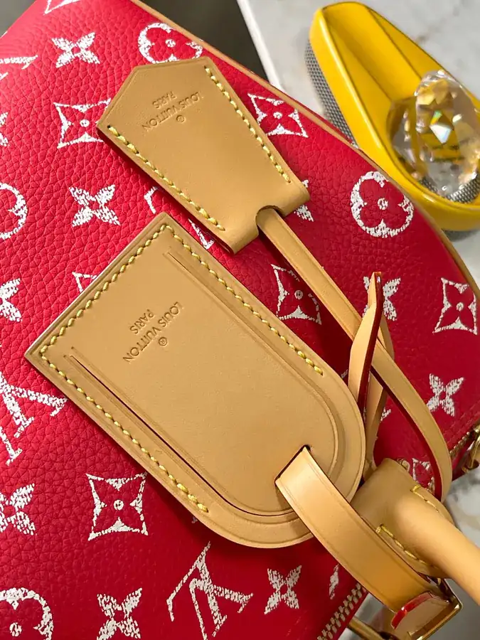 Pharrell Williams Bandouliere 25 Handbag from 2024 Autumn Winter Collection