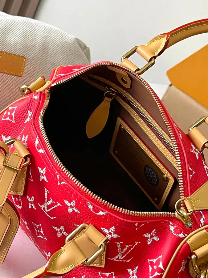 Pharrell Williams Bandouliere 25 Handbag From Paris to Virginia Collection