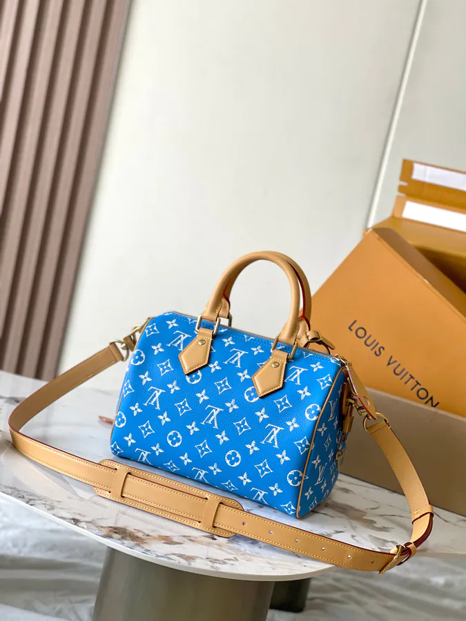 Pharrell Williams Bandouliere 25 Handbag From Paris to Virginia Collection