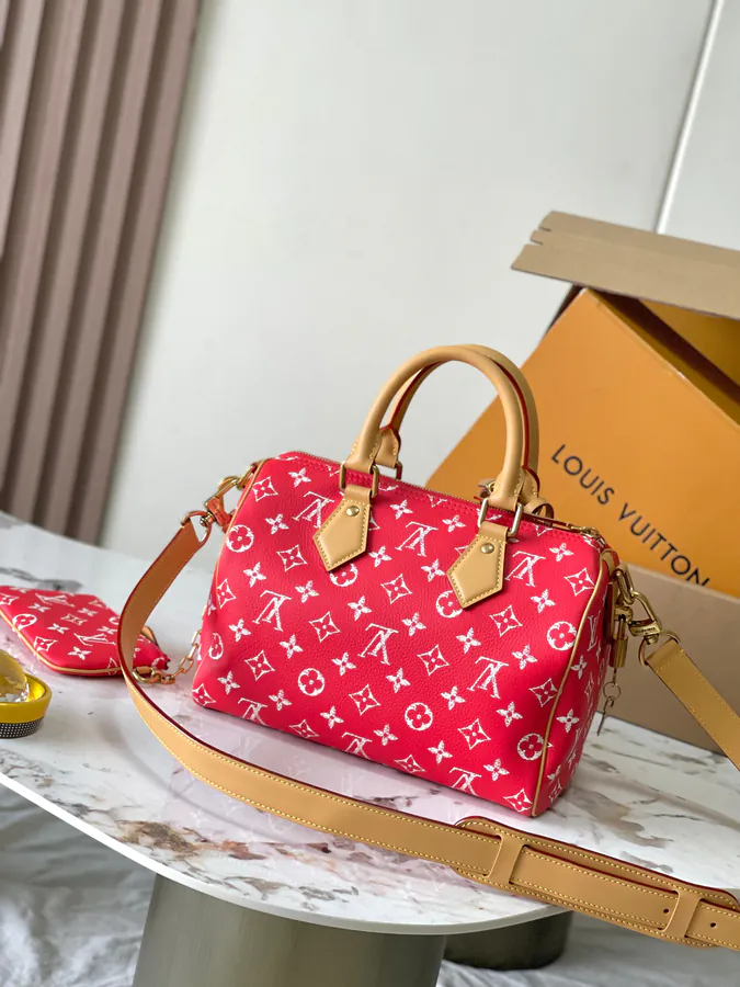 Pharrell Williams Bandouliere 25 Handbag From Paris to Virginia Collection